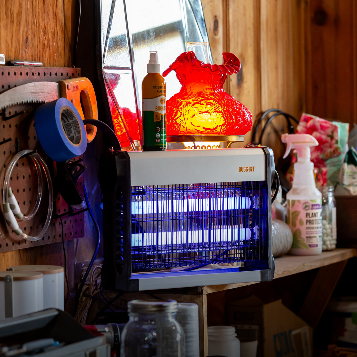 How to effectively use your Indoor bug zapper – BUGGOFF