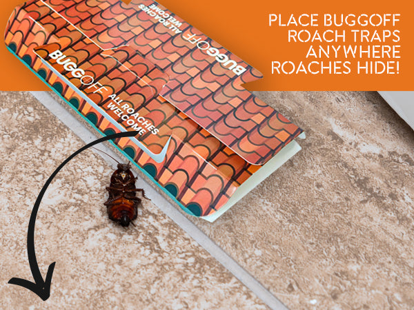 Trampas adhesivas con cebo para cucarachas Roach House, ¡sin productos químicos ni pesticidas! 