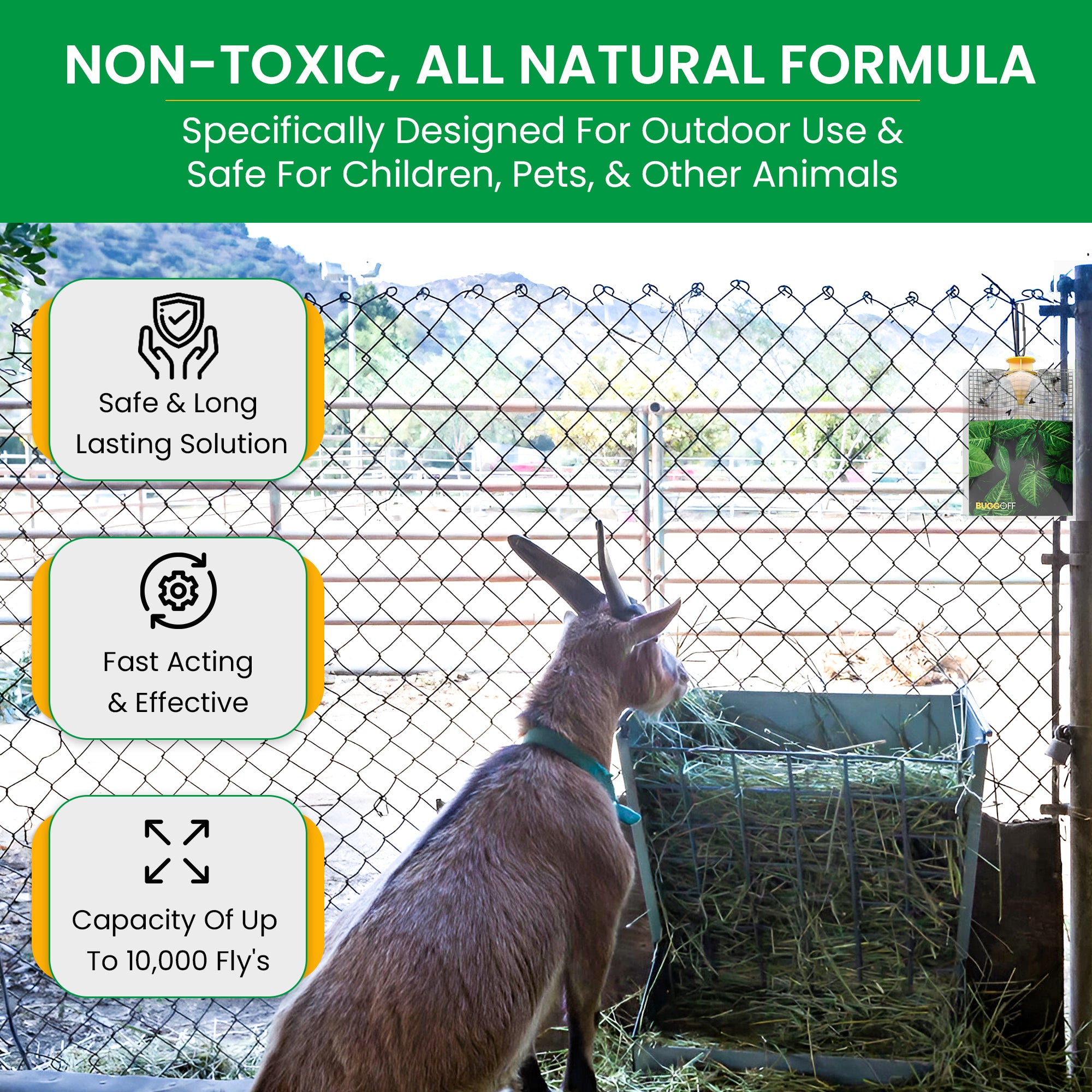 Outdoor Disposable Hanging Fly Traps with Natural Pre-Bait, 10,000 FLIES!