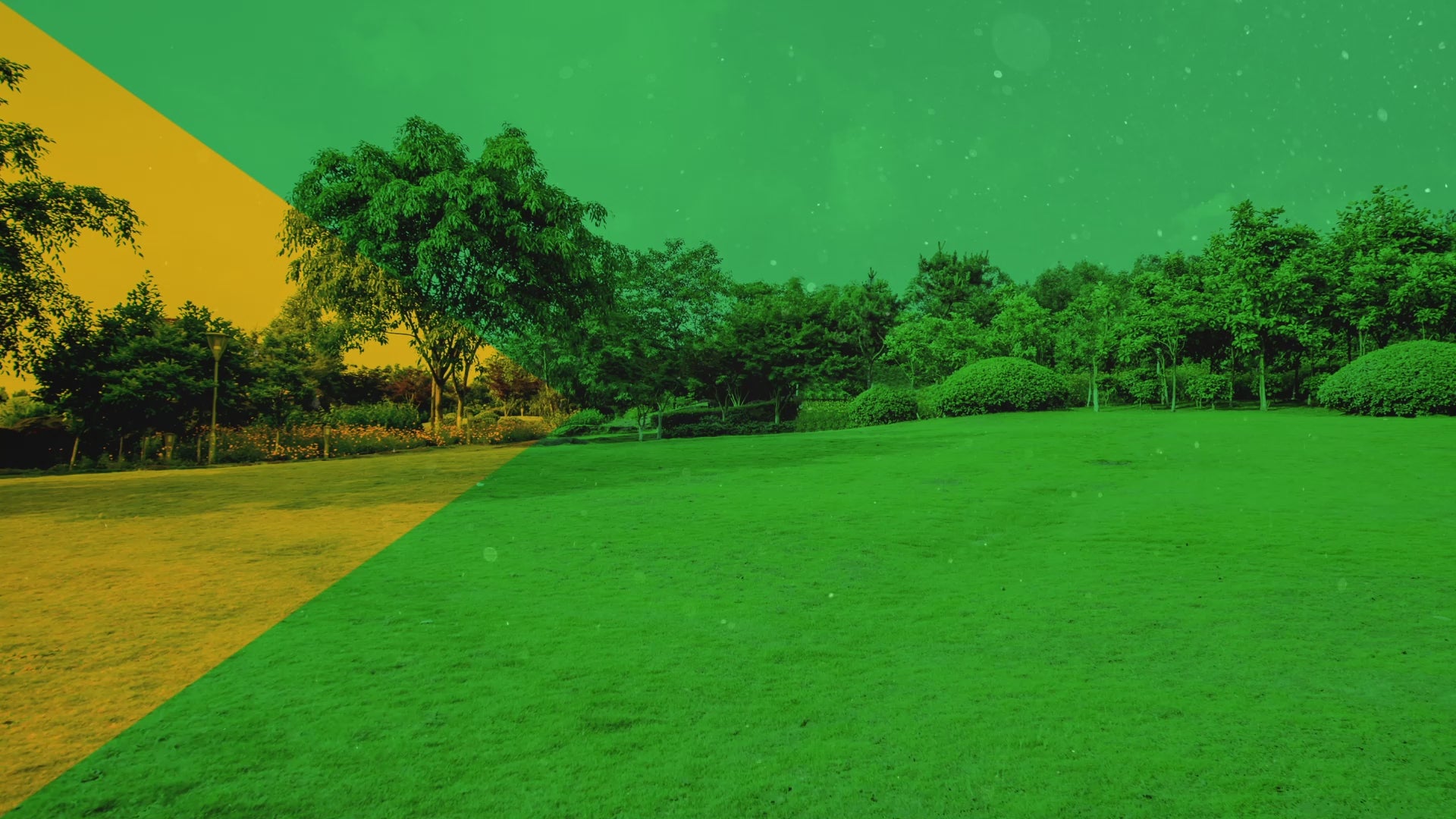 Pinchos disuasorios de pájaros y roedores de plástico con diseño único, ¡humanos y efectivos!